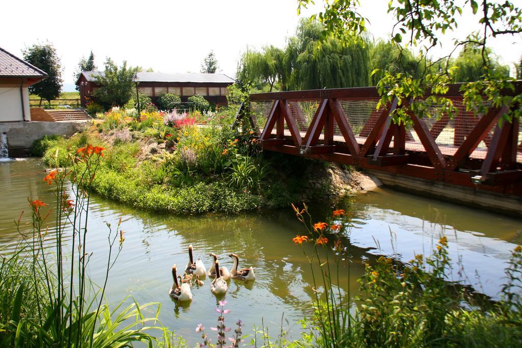 Penzion Eko Park Piestany Exteriör bild